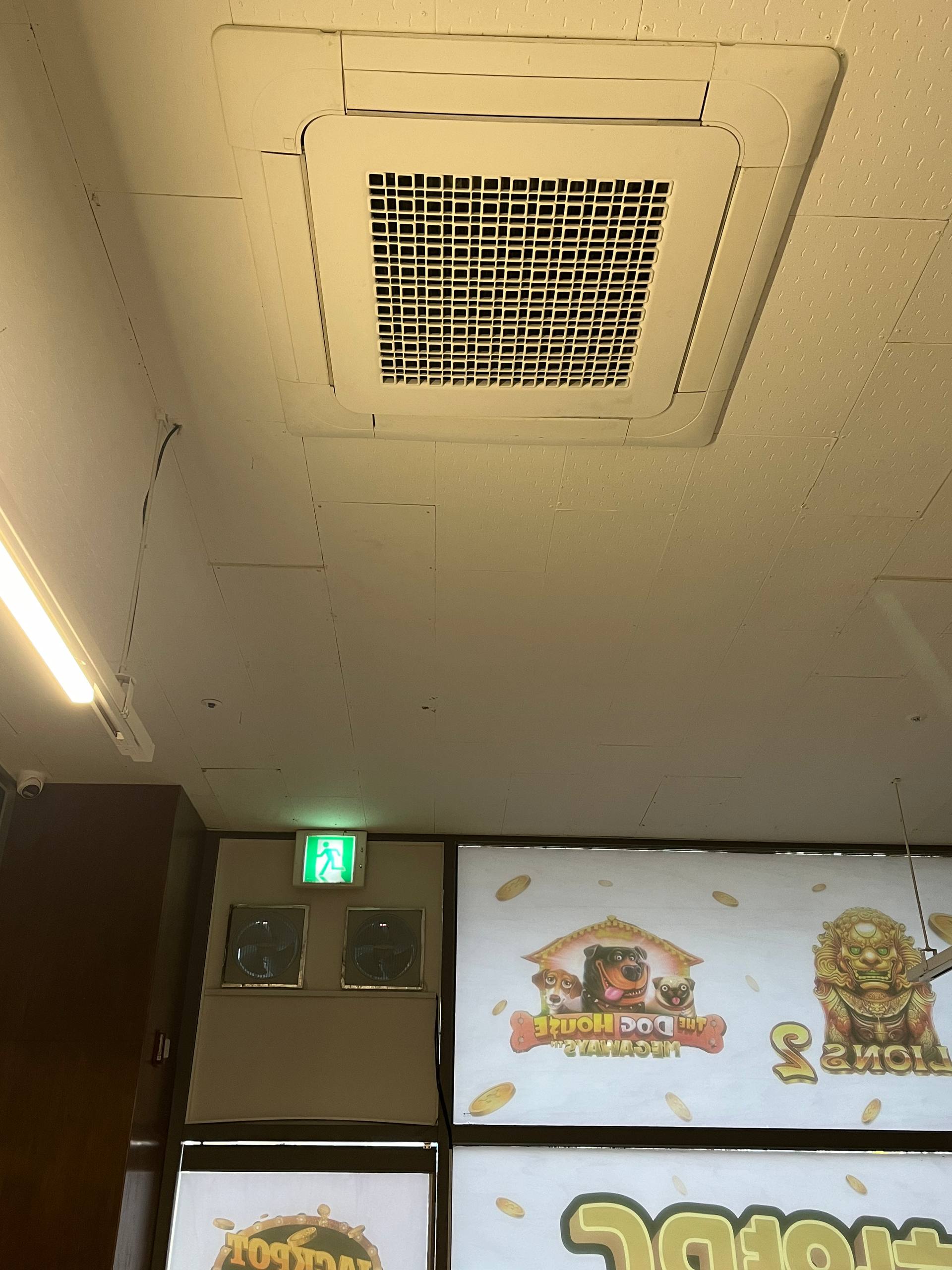 도안동 먹자 성피 내놔요 (가격수정)