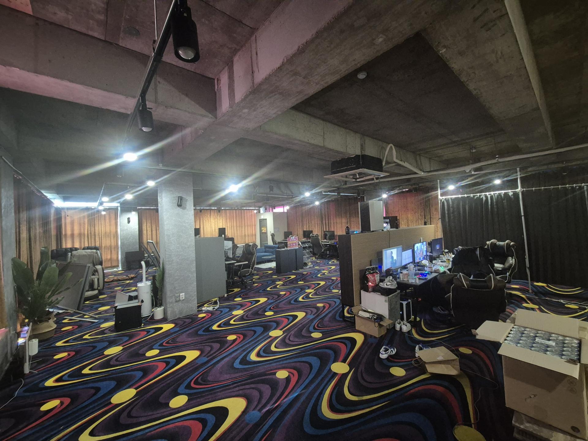 시흥시 정왕동 성피 팝니다