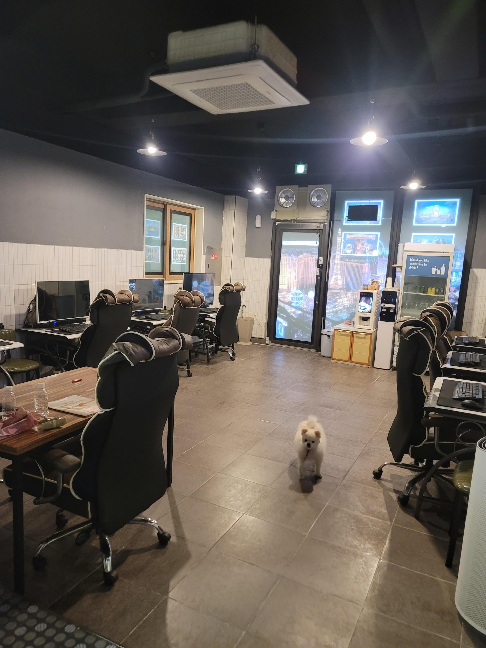 울산장현동 성인PC방 팝니다